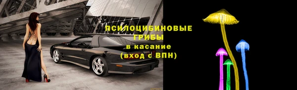 дмт Баксан