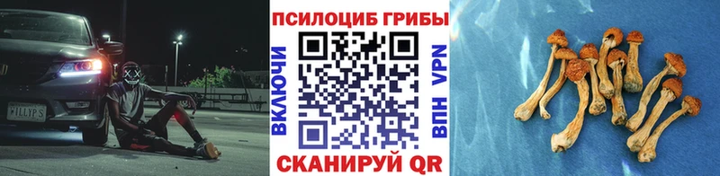 Галлюциногенные грибы мицелий  как найти   Гаджиево 
