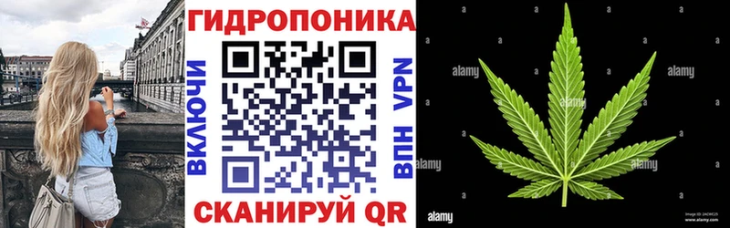 Конопля тримм  Гаджиево 